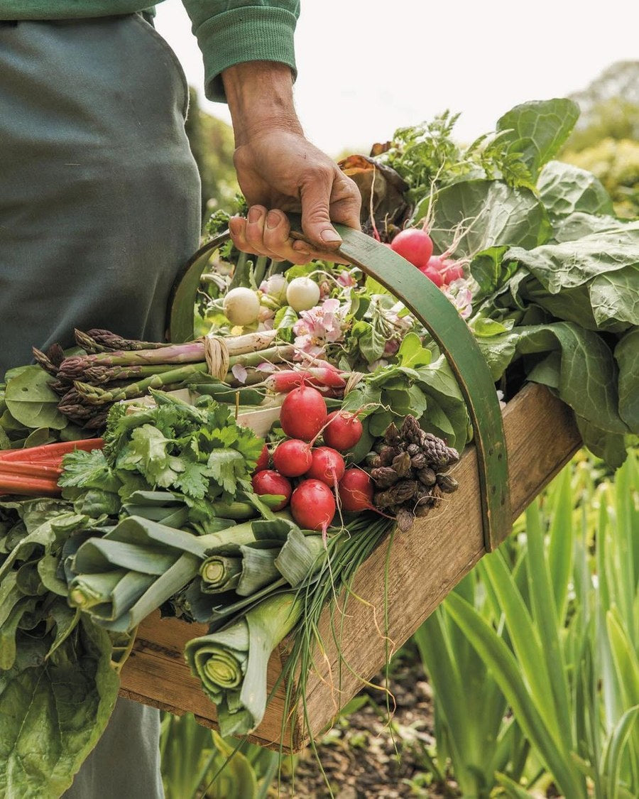 O Tempo Certo de Cada Alimento
